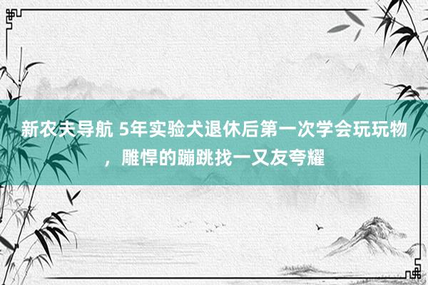 新农夫导航 5年实验犬退休后第一次学会玩玩物，雕悍的蹦跳找一又友夸耀