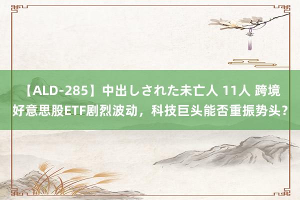 【ALD-285】中出しされた未亡人 11人 跨境好意思股ETF剧烈波动，科技巨头能否重振势头？