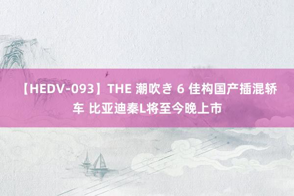 【HEDV-093】THE 潮吹き 6 佳构国产插混轿车 比亚迪秦L将至今晚上市