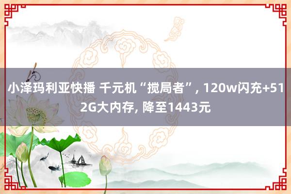 小泽玛利亚快播 千元机“搅局者”， 120w闪充+512G大内存， 降至1443元