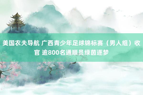 美国农夫导航 广西青少年足球锦标赛（男人组）收官 逾800名通顺员绿茵逐梦