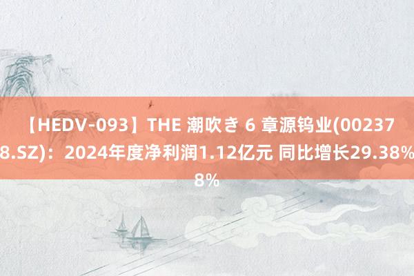 【HEDV-093】THE 潮吹き 6 章源钨业(002378.SZ)：2024年度净利润1.12亿元 同比增长29.38%