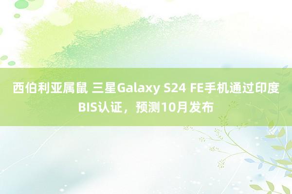 西伯利亚属鼠 三星Galaxy S24 FE手机通过印度BIS认证，预测10月发布