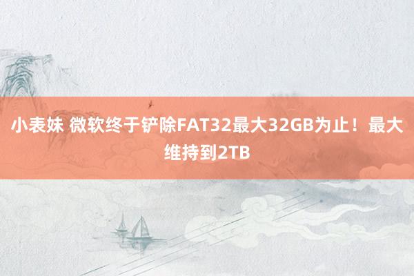 小表妹 微软终于铲除FAT32最大32GB为止！最大维持到2TB