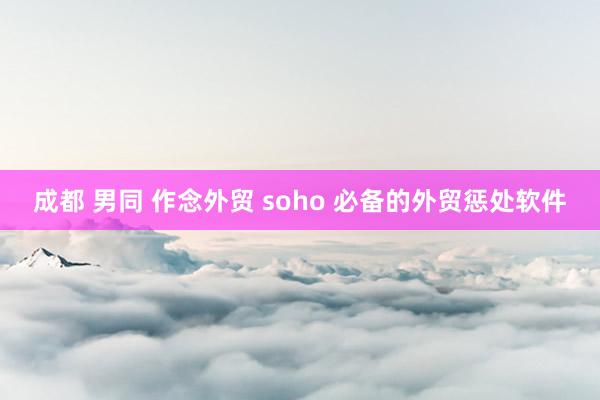 成都 男同 作念外贸 soho 必备的外贸惩处软件